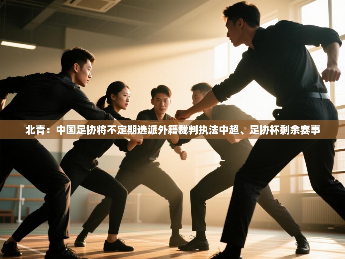 北青:中国足协将不定期选派外籍裁判执法中超、足协杯剩余赛事 第2张