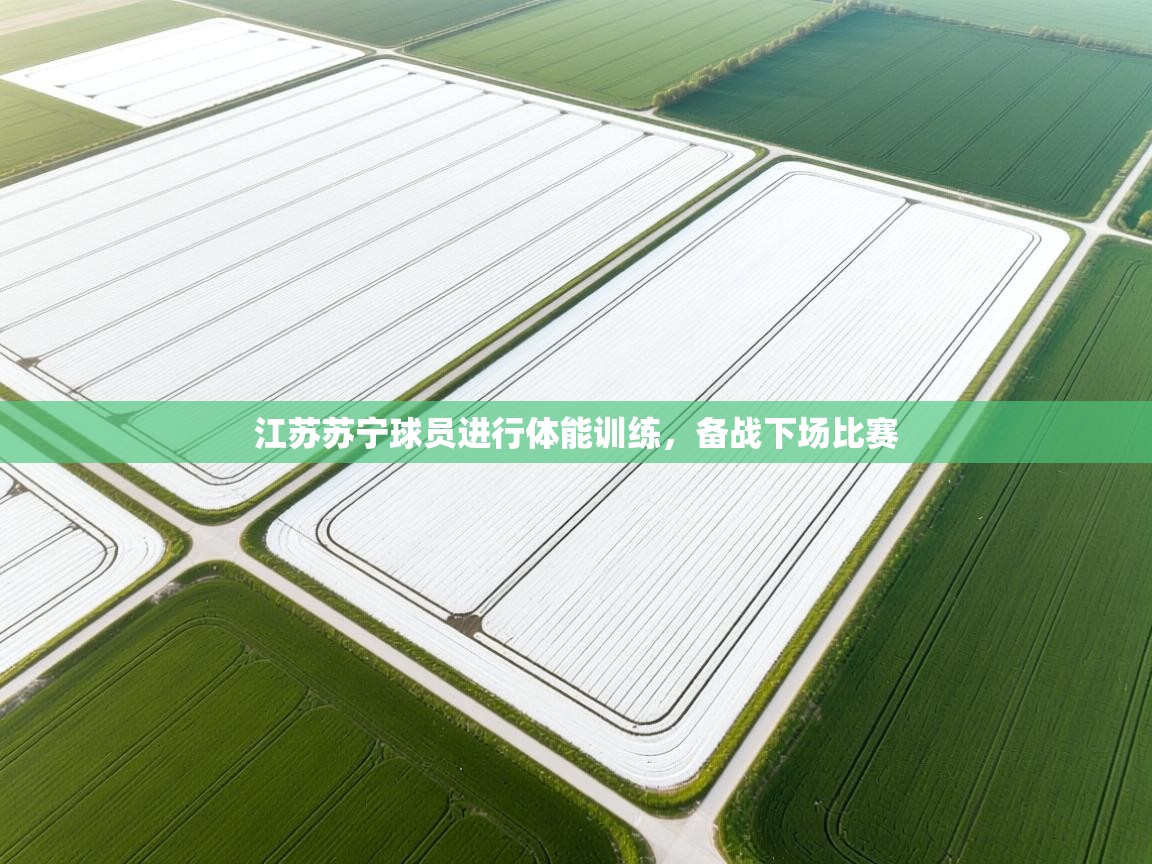 江苏苏宁球员进行体能训练，备战下场比赛